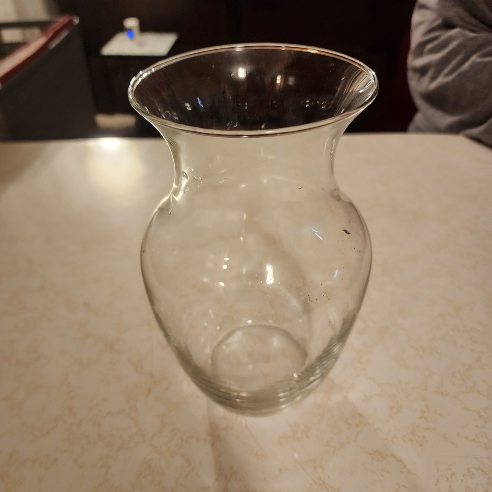 Elegant Clear Glass Vase